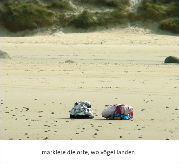 markiere die orte, wo vögel landen